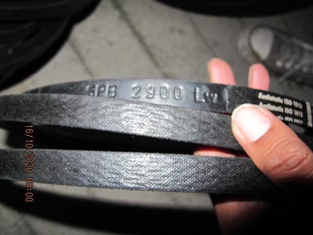 Belt Photo 3